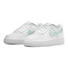 New Nike Air Force 1 Low Mint Swoosh GS CT3839-105