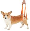 Petio Walking Assist Harness for Senior Dogs, Rear Legs, Medium Size, Large