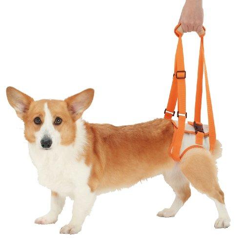 Petio Walking Assist Harness for Senior Dogs, Rear Legs, Medium Size, Large
