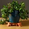 3pcs Flower Pot Stands, Saucers, Pot Feet, Base Pads, Gardening Potted Plant Trays, Plant Pot Supports,Anti-Corrosion Properties