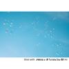 Kenko PRO1D Star 67mm R-Twinkle 8X(W)