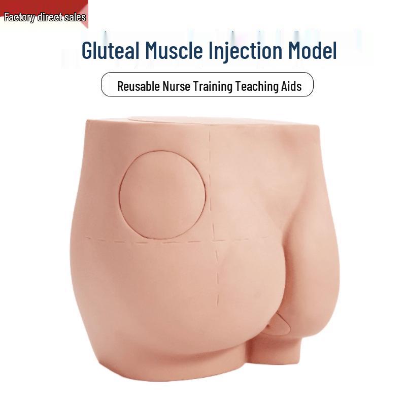 Advanced Buttocks Injection Training Model for Nurses Buttocks Injection Model