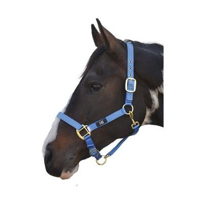 Hy Head Collar