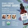 Lymphatic Support Herbal Blend Liquid Drops - Organic Lymphatic Cleanse - Echinacea & Elderberry - Blue Vervain - Vegan - 30 Servings