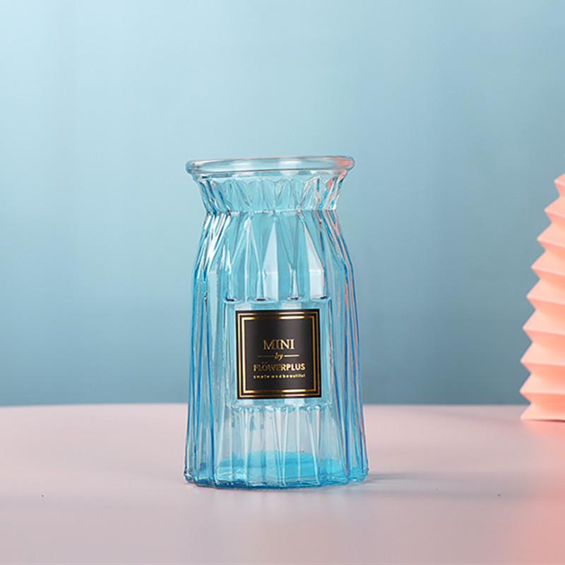 European Glass Vase for Fresh or Dried Flowers - Simple, Creative Home Decor Ornament