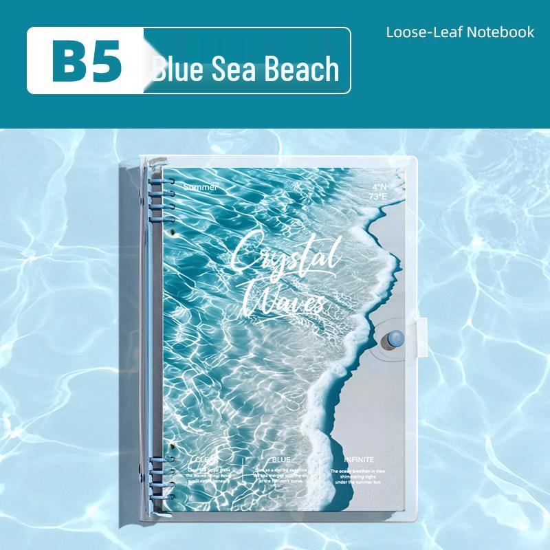 Detachable Transparent Leather Binder with 5 Notebooks for High School Students - 2026 Edition