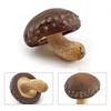 Gemüsemodell Pilzfiguren Matsutake Auster Künstliche Simulation Pilz Kräuterseitling Pflanzenpilzmodell Gartendekoration