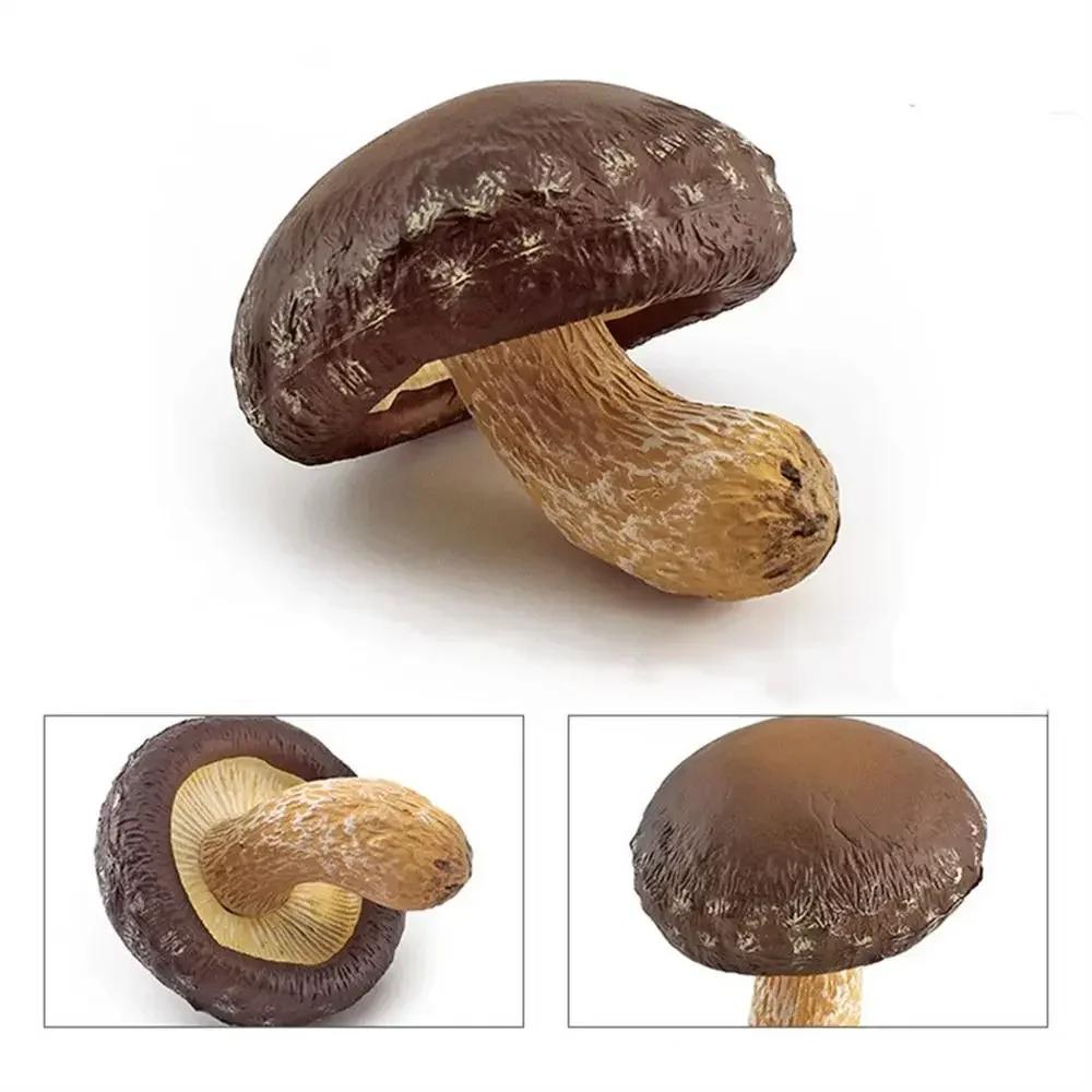 Gemüsemodell Pilzfiguren Matsutake Auster Künstliche Simulation Pilz Kräuterseitling Pflanzenpilzmodell Gartendekoration