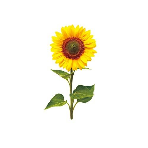 Small Fresh Tattoo Sticker Cute Swallow Fairy Fox Rose Sexy Waterproof Tattoo Sticker Female Suit Sticker