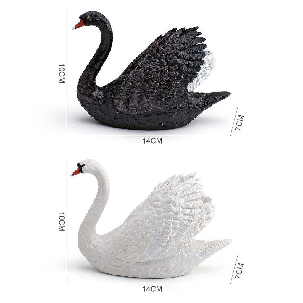 Wild Animal Swan Model: Children's Cognitive Farm Decor - White & Black Swan Ornament