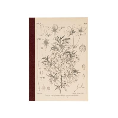 Hobonichi Tomitaro Makino/Almost Daily Square Note