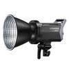 Godox LA200Bi Bi-Color LED Photography Light Kit