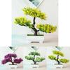 Fantastisk Bonsai Simulering Konstgjord Tall i Kruka för Hem- och Kontorsinredning