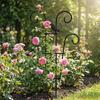Garden Stake Removable Obelisk Support for Climbing Plant Trellis Height Suitable for Various Climbing Plant
