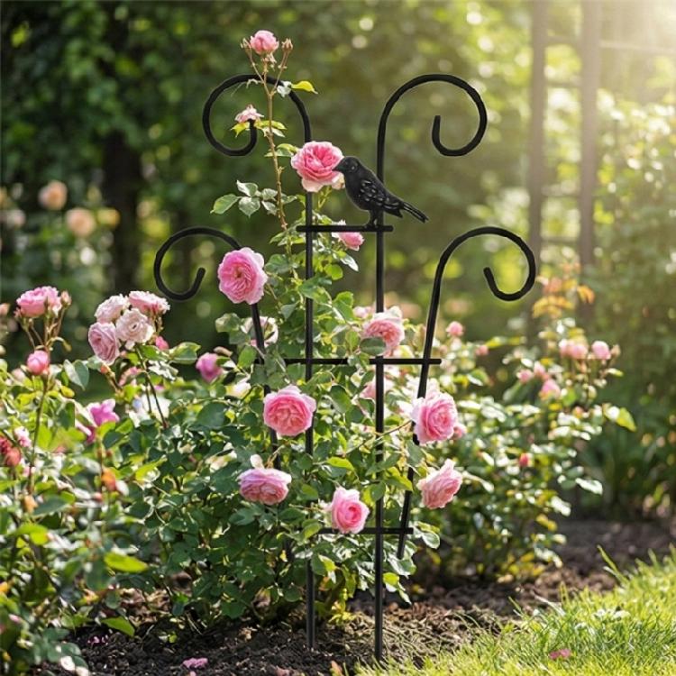 Garden Stake Removable Obelisk Support for Climbing Plant Trellis Height Suitable for Various Climbing Plant