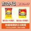 Hokkairo Non-adhesive Regular 30 Pieces 2