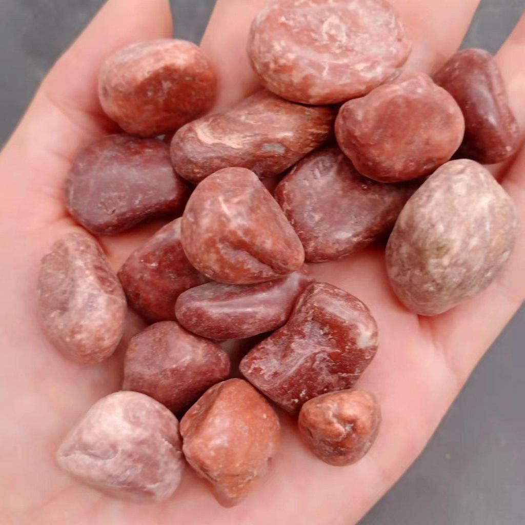 Children's Treasure Hunt: Mixed Crystal, Agate, and Gold Ore