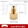 Brass Female NPT Flaring Straight Connector for Copper Oil Pipe Pressure Gauge