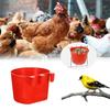 2026New 12Pcs Chickens Rabbit Feeders for Cage,Hanging Chicken Water Feeder Cup, Plastic Birds Feeders Seed Bowl,