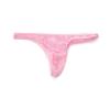 Underpants Men Lace Hollow Thongs Thin Mesh Male Briefs Men's Sheer Lace Panties  Summer