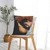 Pillow Cover Hudson Williams Connor Storrie Heated Rivalry Kawaii Pillow Case For Sofa Bedroom Home Decor Pillowcases