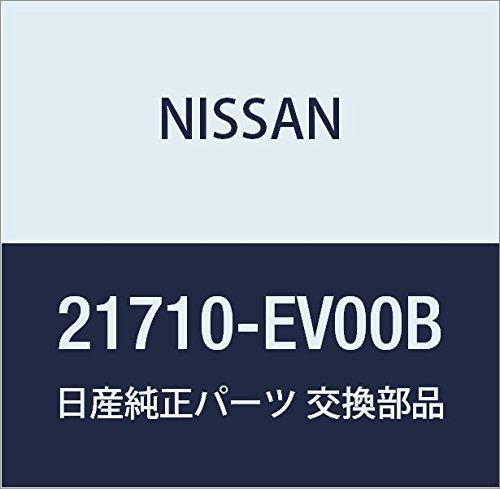 

Оригинальные запчасти Nissan — аутентичные каталожные детали с завода (21710-EV00B)
