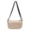 Premium Retro Small Bag Women's Bag New Spring and Summer Popular Shoulder Bag Versatile Messenger Dumpling Bag