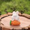 Cute Bunny Miniature Figurines Resin Rabbit Toys Rabbit Micro Ornaments  Living Room