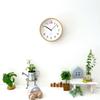 KATOMOKU plywood wall clock 14 wall clock continuous second hand radio km-85NA 202mm (SKP clock)