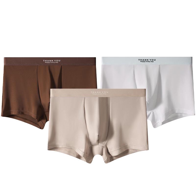 Men's Ice Silk Breathable Summer Boxer Briefs: Youthful, Simple, Comfortable Sportswear