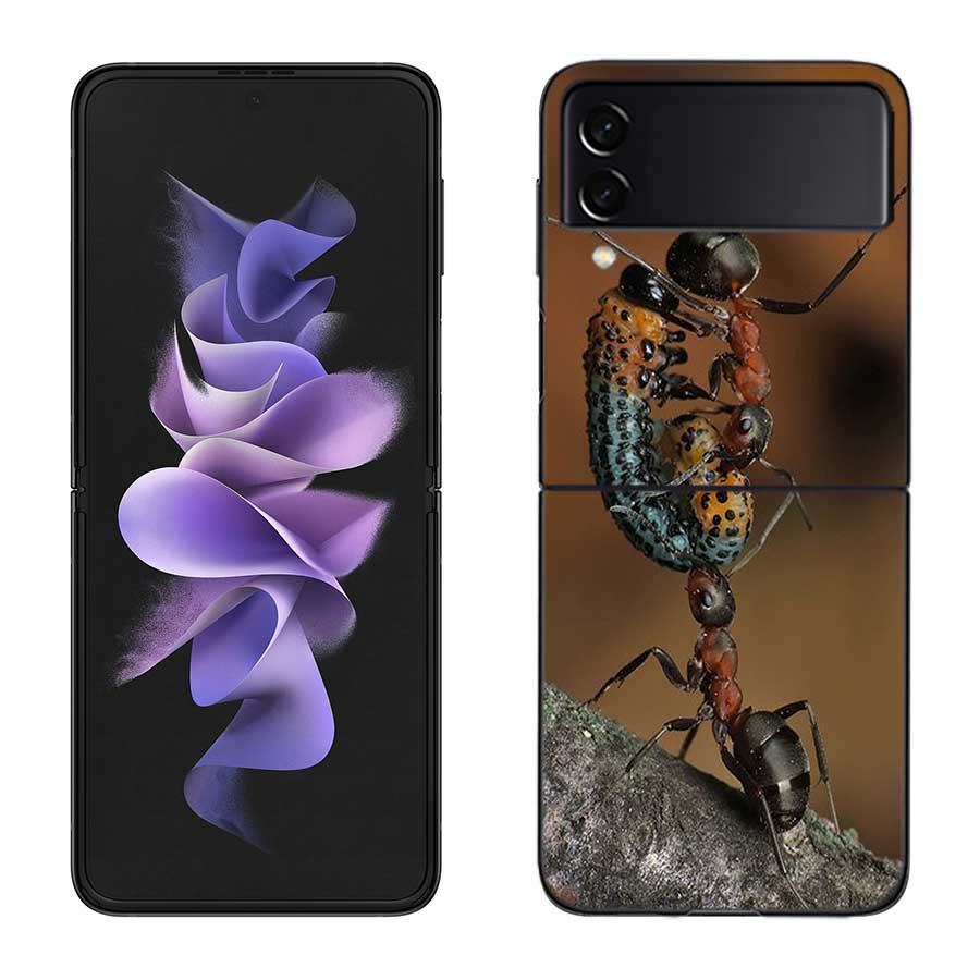 Red Fire Ants, Worker Ants Phone Case For Samsung Z Flip 7 6 5G Galaxy Z Flip 5 4 3 Black Hard Cell Cover Luxury PC Shell Coque