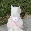 Adjustable Cat Leash & Harness - Cute Kitten Outdoor Walking Rope for Small Dogs