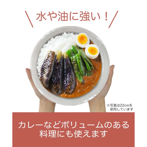 Toshin Deep, Water- and Oil-Resistant Thick Hard Paper Plates, Microwave-Safe, 26cm, 6 Plates x 10 Packs (60 Plates Total) H26