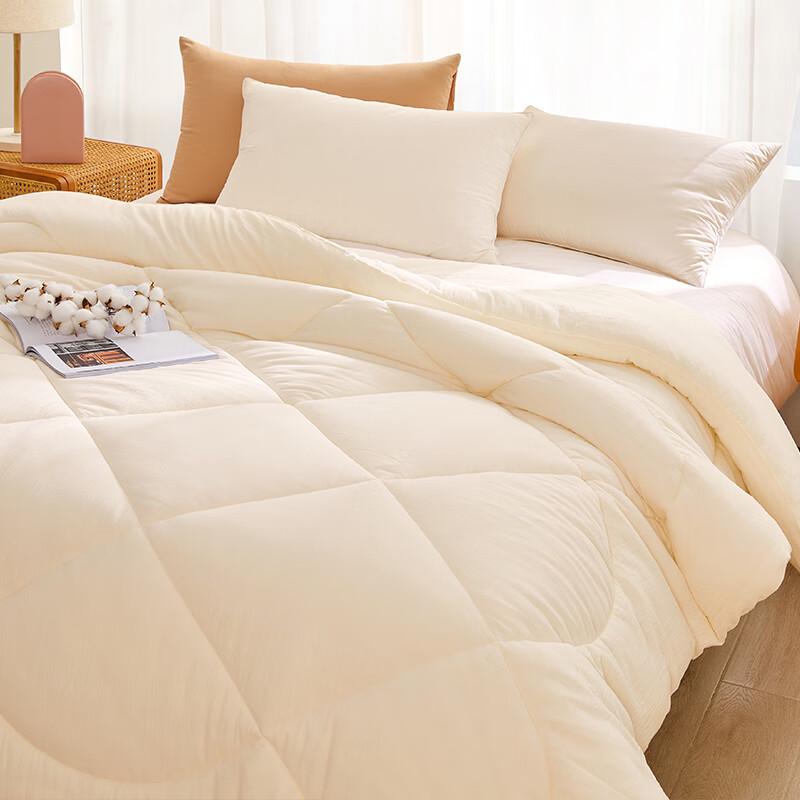 Beyond Home Textile Antibacterial Soy Fiber Quilt