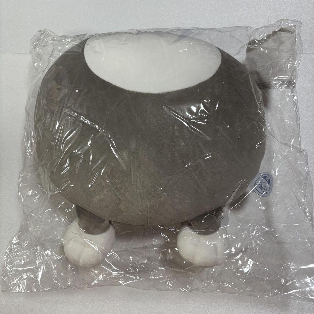 [USED] Stray Kids Wolf Chan Bang Chan Hip Cushion