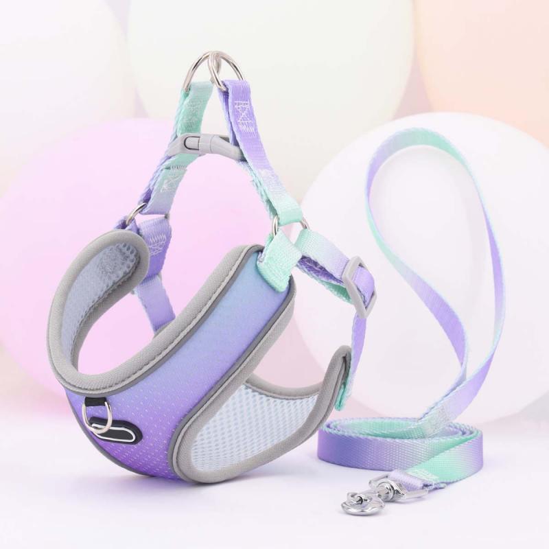 Escape Proof Cat Harness and Leash Set Adjustable Mesh Dog Harness Vest Puppy Pet Walking Lead Leash Small Dogs Cats Kitten