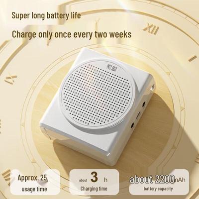 SOAI S638 Classroom Amplifier CN Plug (adapter Included)