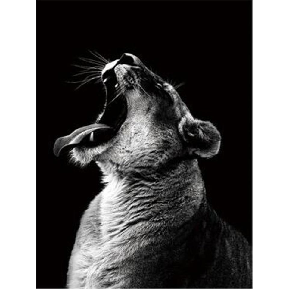 5D Round Diamond Painting "animal" Lion Tiger Diamond Embroidery Cross Stitch Kit Rhinestone Mosaic Picture DIY Decoration Gift