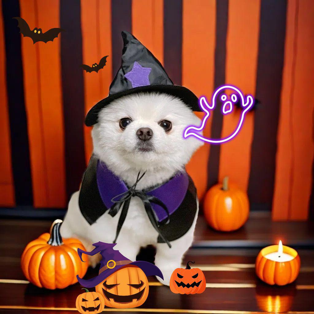 Pet Halloween Wizard Costume Set: Hat & Cloak for Cats and Dogs