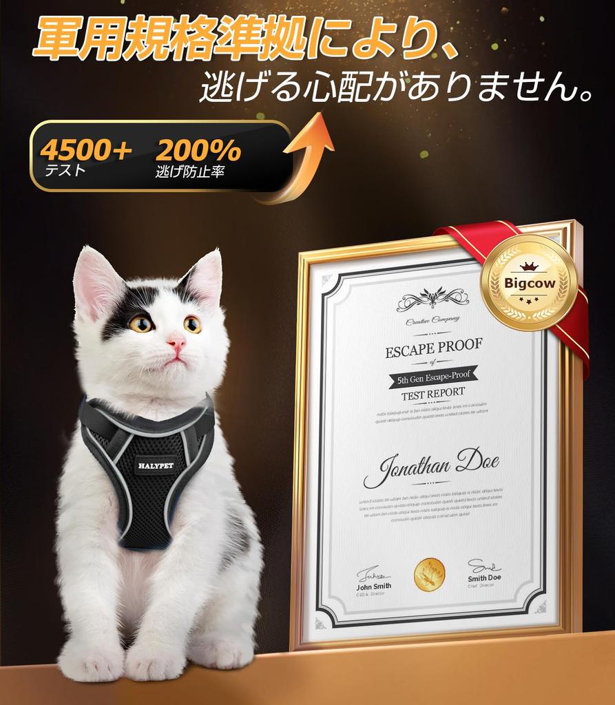 Bigcow Cat Harness Lead Cat Traction Cat Cat Body Cat Going Soft Chest Can be worn without going over the Adjustable Night Breathable Prevents Vest