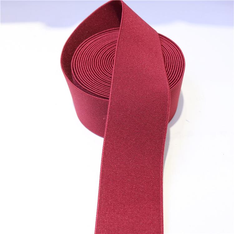 Polyester Imitation Nylon Elastic Webbing with Spot Color Processing - Clothing Accessories Rubber Band
