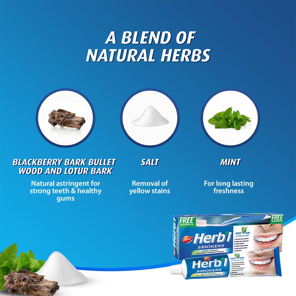 ForSmokers Toothpaste + FREE Toothbrush Dabur Herb'l