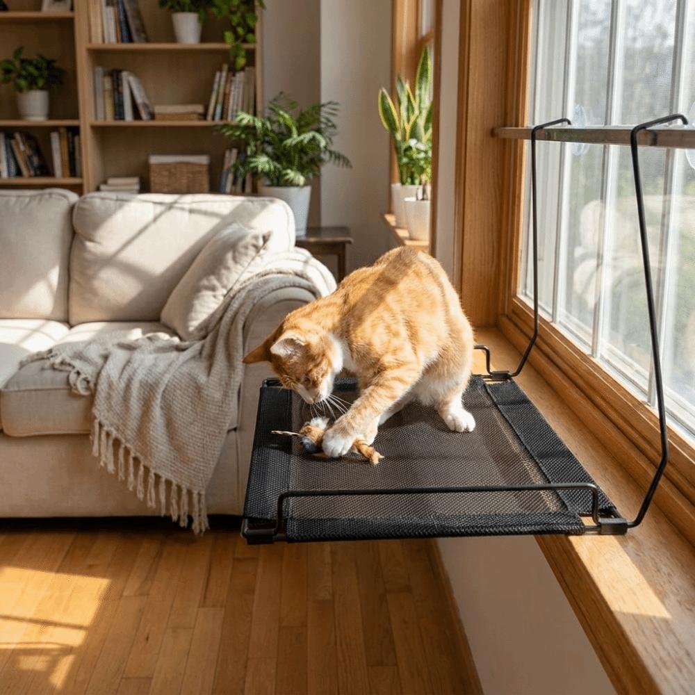 Stable Cat Window Hammock Folding Cat Sunbathing Bed Pet Nest Pet Window Perch  Window Perch