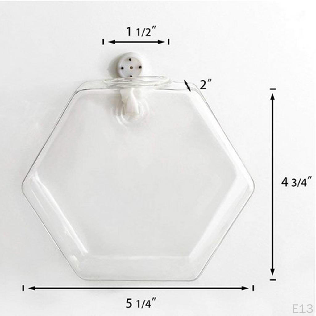 Glass Vase Flower Pot Fish Tank Terrarium Wall Hanging Pots