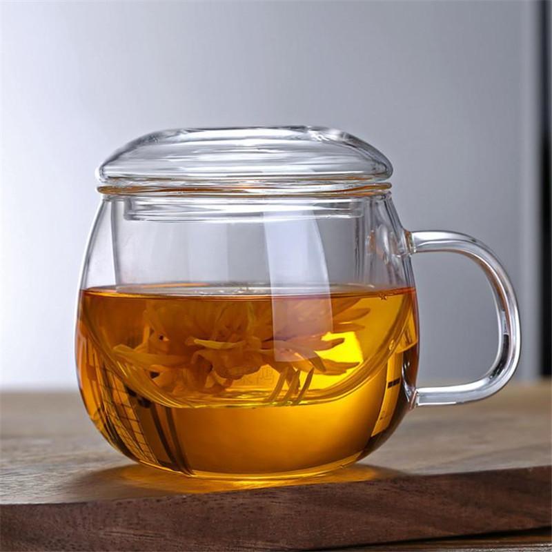 Glass Tea Cup with Infuser and Lid 350ml Large Borosilicate Teacup,Tea Glass Clear Mug for Loose Leaf Tea Gift for Birthday