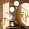 Hydroponic Containers, Vases, Living Rooms, Creative Hanging Doors, Decorative Walls, Green Ivy Plants, Hydroponic Transparent Flower Pots