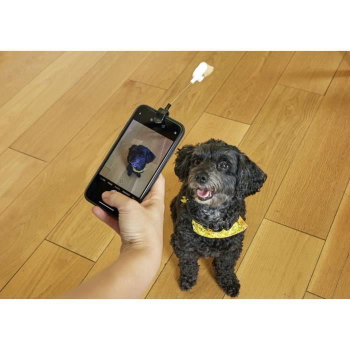 Pince à selfie pour chien - KIKKERLAND - DIG01 - Compatible tous téléphones - Poids max 500 g - Noir