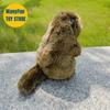 Groundhog Plush Toy, Lifelike Marmot Stuffed Animal, Realistic Land Beaver Plushie, Grassland Chuck Simulation Doll Gift