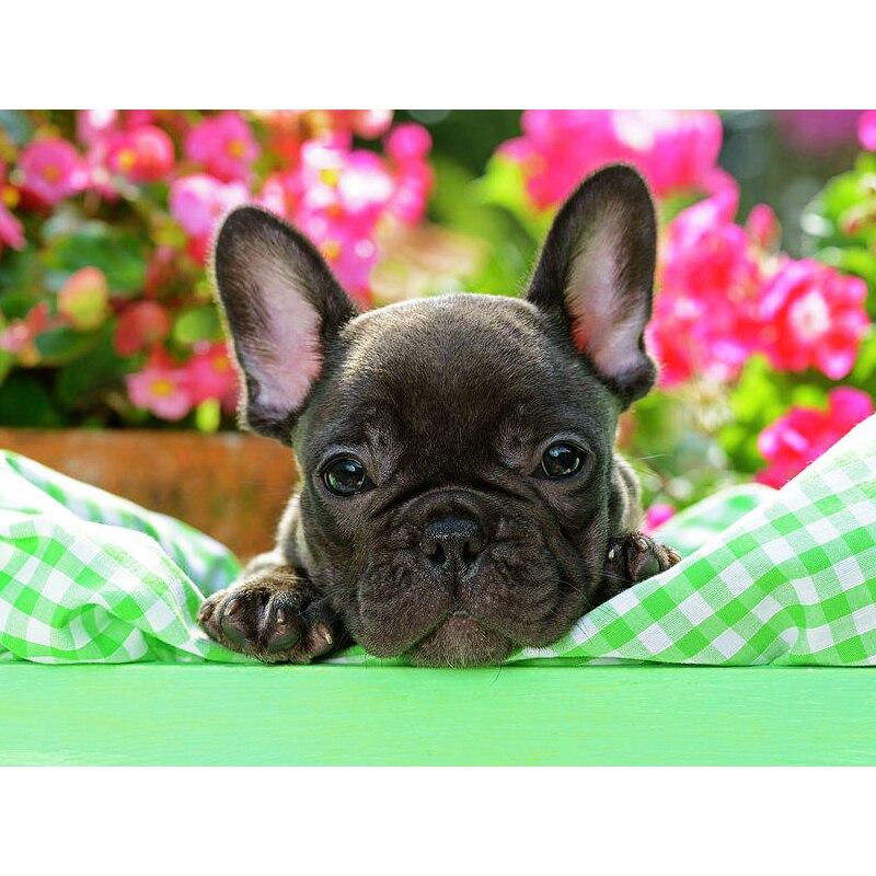 New 5D DIY Diamond Painting Dog Flower Diamond Embroidery Animal Cross Stitch Full Round Drill Home Decor Manual Art Gift