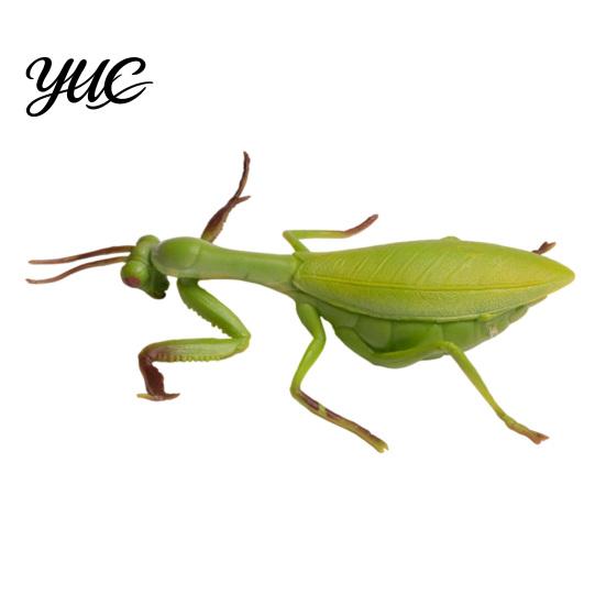 Decompression Insect Squishy Toy Realistic Toy, Stretchy Stress Relief Fidget Snail Bat TPR Material Squeeze Tools Locust Mantis Fly Mole Cricket